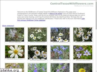 centraltexaswildflowers.com