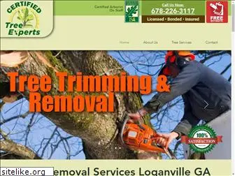 certifiedtreeexperts.com