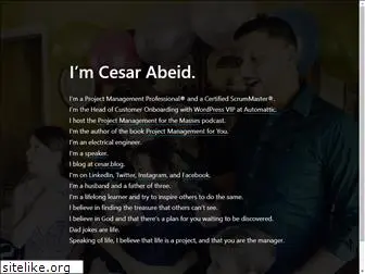 cesarabeid.com