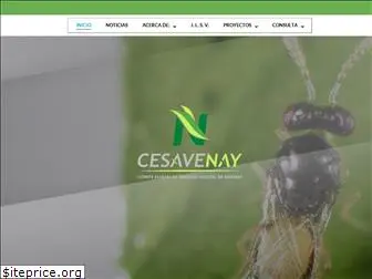 cesavenay.org.mx