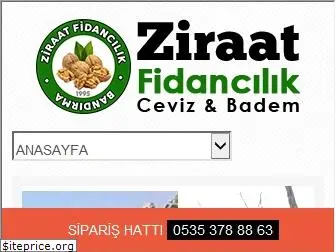 cevizfidancisiyiz.com