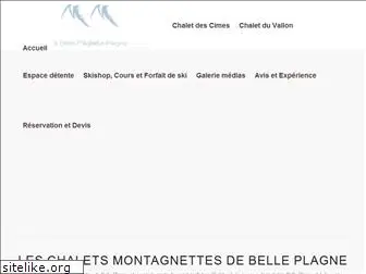 chalets-montagnettes-belle-plagne.com