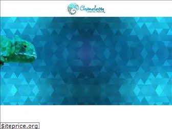 chameleondigitalmedia.com