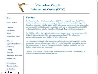 chameleoninfo.com