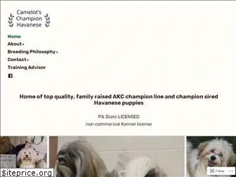 championhavanese.com