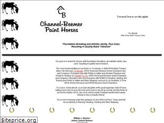 channelbeemer.net