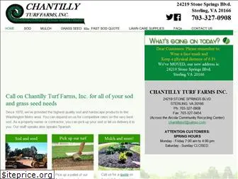 chantillyturffarms.com