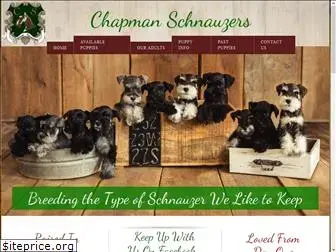 chapmanschnauzers.com
