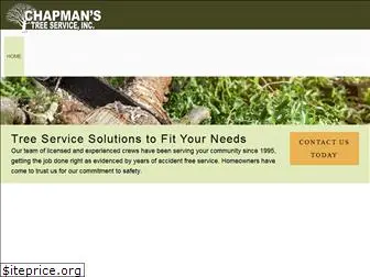 chapmanstreeservice.com