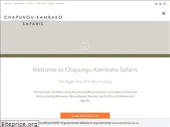 chapungu-kambako.com