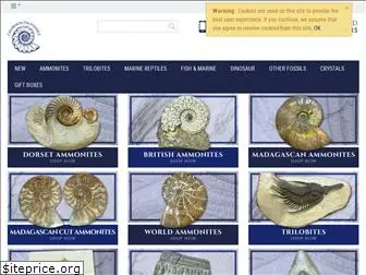 charmouthfossils.com