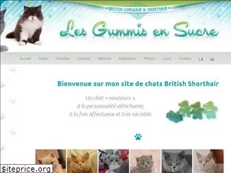 chat-british-des-gummis.fr