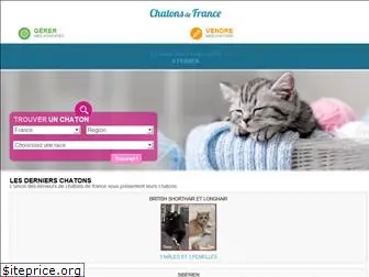 chatons-de-france.com