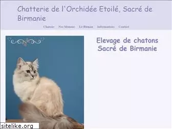 chatteriedelorchideeetoile.fr