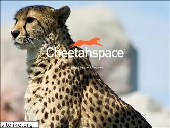 cheetahspace.co.uk