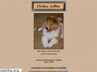 chelsea-collies.com