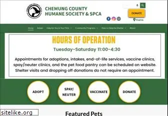 chemungspca.org