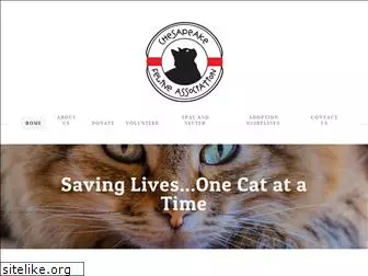 chesapeakefelineassociation.org