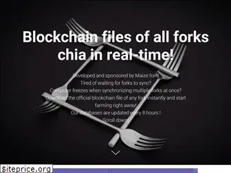 chiaforksblockchain.com