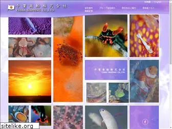 chibaship.co.jp