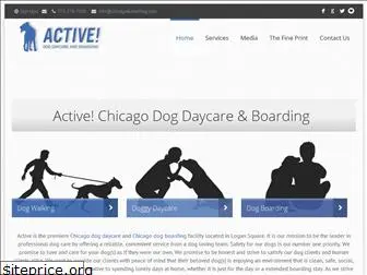 chicagoactivedog.com