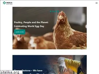 chicken-anaemia.com