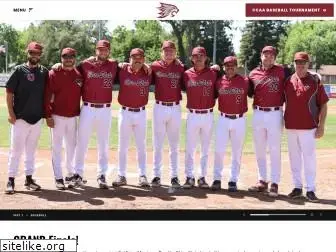 chicowildcats.com