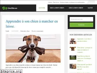 chienetmoi.com