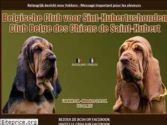 chiens-de-saint-hubert.be