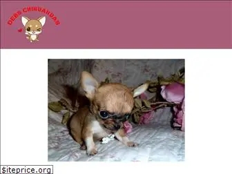 chihuahua-teacups.com