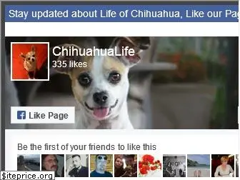 chihuahua.life