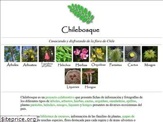 chilebosque.cl