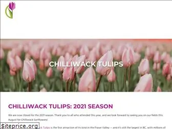 chilliwacktulipfest.com