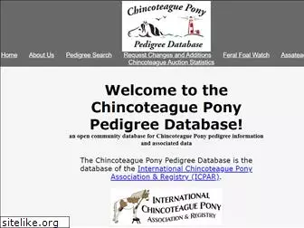 chincoteaguepedigrees.com