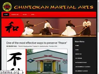 chintokan.com