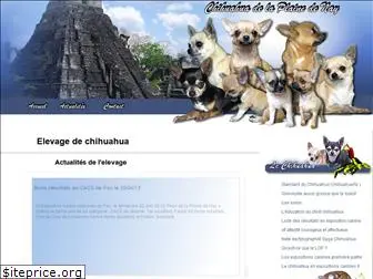 chiot-chihuahua.com