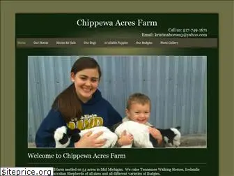 chippewaacres.com