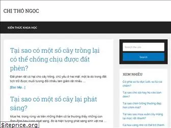 chithongoc.com