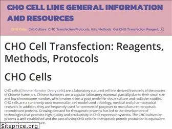 cho-cell-transfection.com