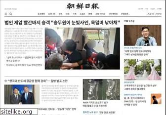 chosun.co.kr