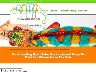 chromaticchameleons.com