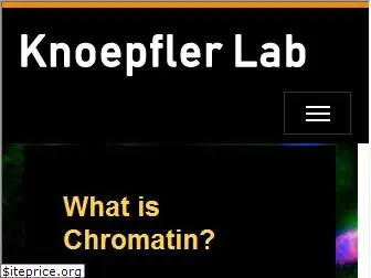 chromatin.com