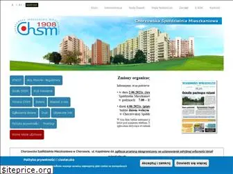 chsm.com.pl