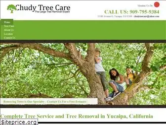 chudytreeservice.com