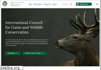 cic-wildlife.org