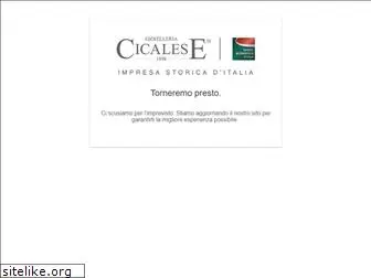 cicalesegioielli.com