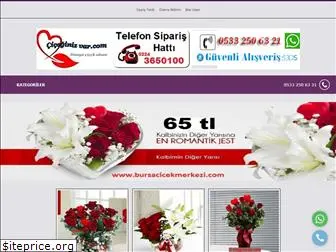 ciceginizvar.com