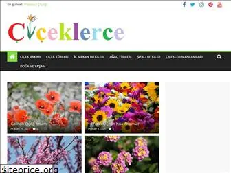 ciceklerce.com