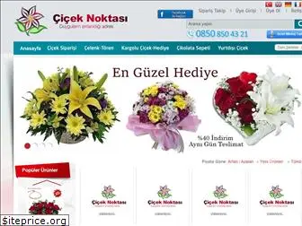ciceknoktasi.net
