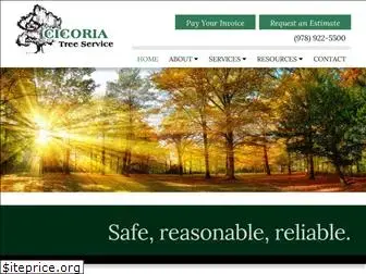 cicoriatree.com